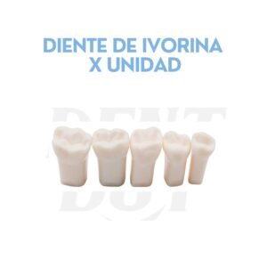 DIENTE DE IVORINA X UNIDAD