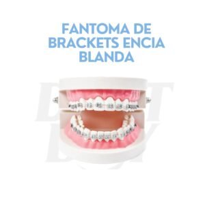 FANTOMA DE BRACKETS ENCIA BLANDA