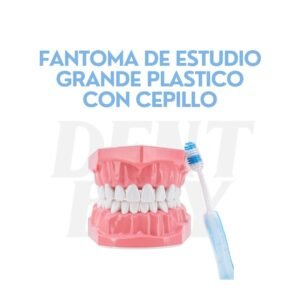 FANTOMA DE ESTUDIO GRANDE PLASTICO CON CEPILLO