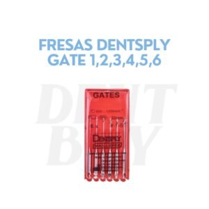 FRESAS DENTSPLY GATE1,2,3,4,5,6