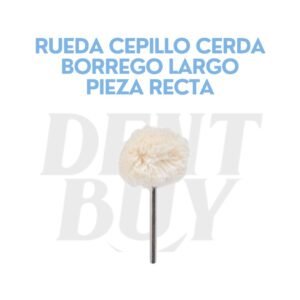 RUEDA CEPILLO CERDA BORREGO LARGO PIEZA RECTA