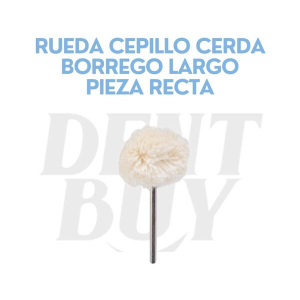 RUEDA CEPILLO CERDA BORREGO LARGO PIEZA RECTA