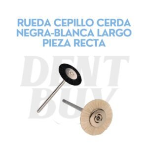 RUEDA CEPILLO CERDA NEGRA-BLANCA LARGO PIEZA RECTA
