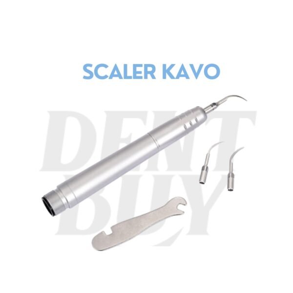 SCALER KAVO