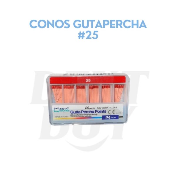 CONOS GUTAPERCHA #25