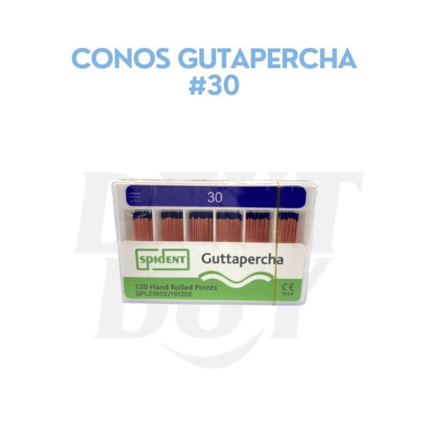 CONOS GUTAPERCHA #30