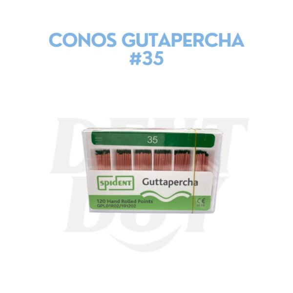 CONOS GUTAPERCHA #35