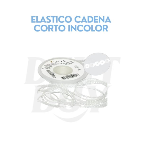 ELASTICO CADENA CORTO INCOLOR