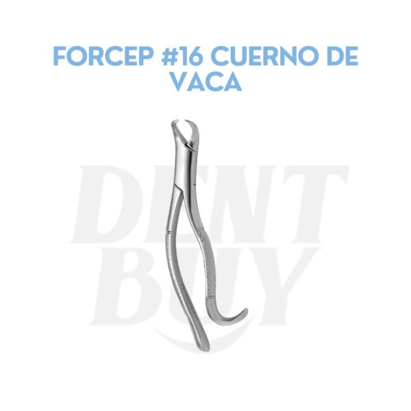 FORCEP #16 CUERNO DE VACA