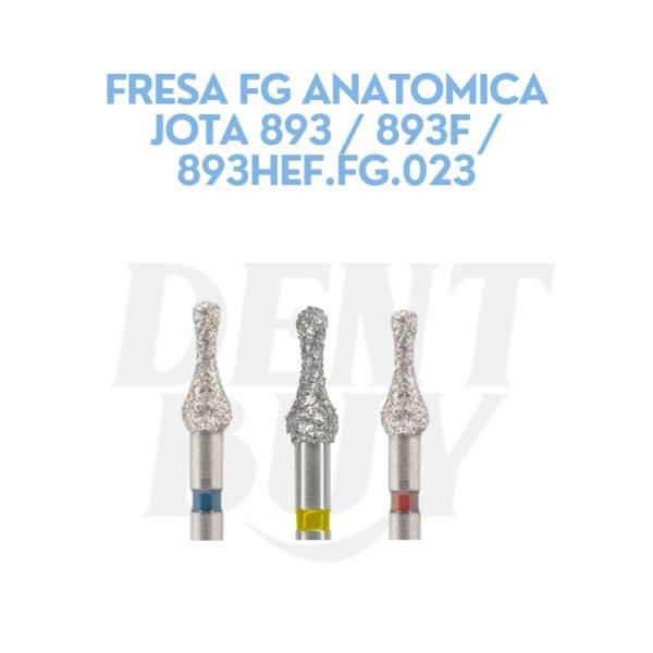 FRESA FG ANATOMICA JOTA 893 / 893F / 893HEF.FG.023