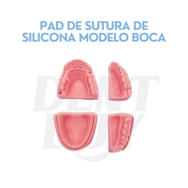 PAD DE SUTURA DE SILICONA MODELO BOCA