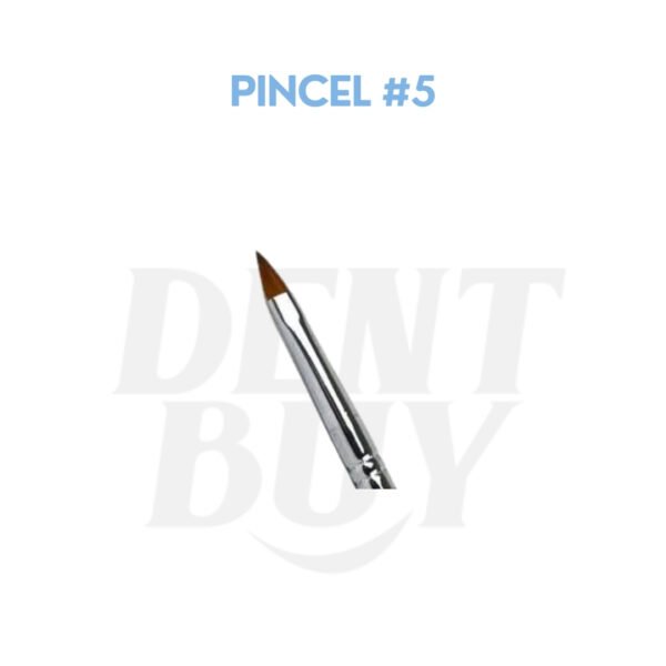 PINCEL #5