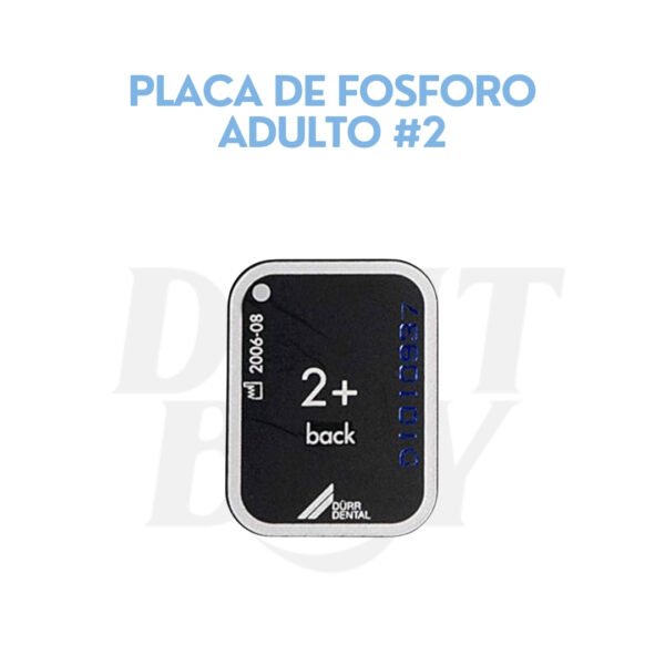 PLACA DE FOSFORO ADULTO #2