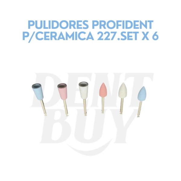 PULIDORES PROFIDENT P/CERAMICA 227.SET X 6