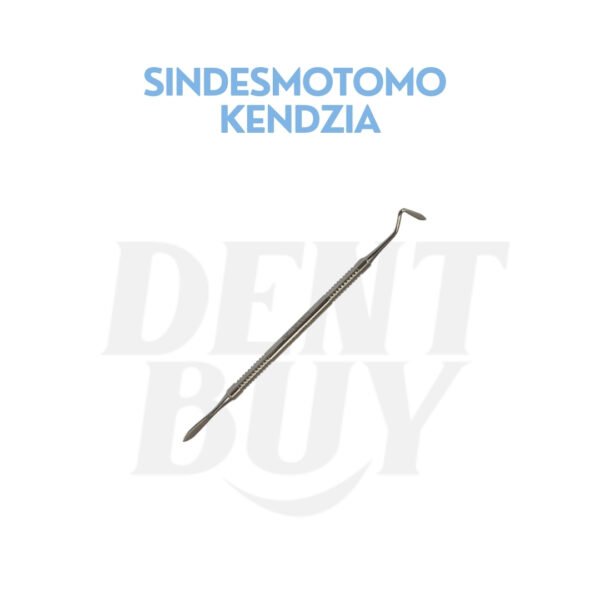 SINDESMOTOMO KENDZIA
