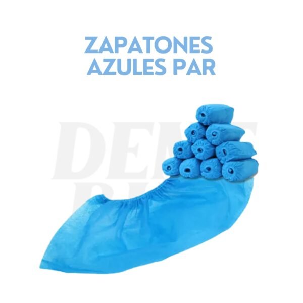 ZAPATONES AZULES PAR