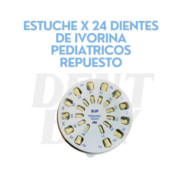 ESTUCHE X 24 DIENTES DE IVORINA PEDIATRICOS REPUESTO