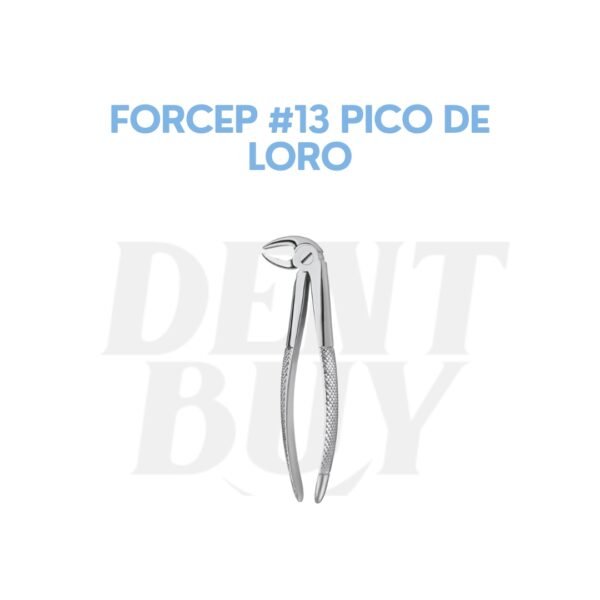FORCEP #13 PICO DE LORO