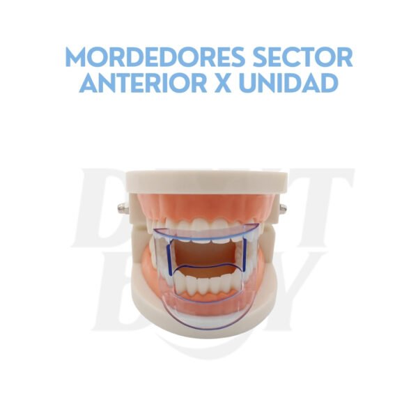 MORDEDORES SECTOR ANTERIOR X UNIDAD
