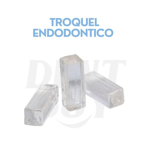 TROQUEL ENDODONTICO