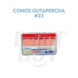 CONOS GUTAPERCHA #25