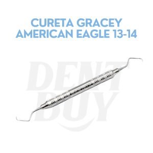 CURETA GRACEY AMERICAN EAGLE 13-14