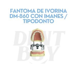 FANTOMA DE IVORINA DM-860 CON IMANES _ TIPODONTO