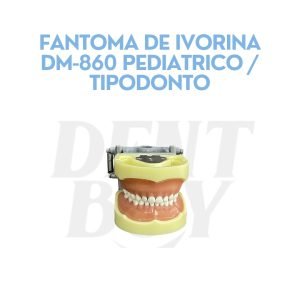 FANTOMA DE IVORINA DM-860 PEDIATRICO _ TIPODONTO