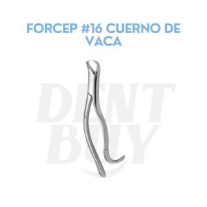 FORCEP #16 CUERNO DE VACA