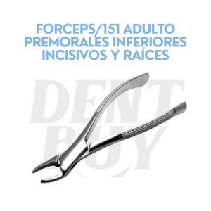 FORCEPS151 ADULTO PREMORALES INFERIORES INCISIVOS Y RAÍCES