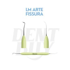 LM ARTE FISSURA