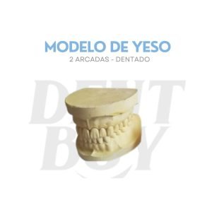 MODELO DE YESO DENTULO