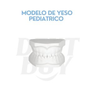 MODELO DE YESO PEDIATRICO