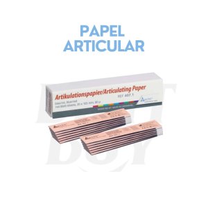 PAPEL ARTICULAR
