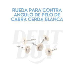 RUEDA PARA CONTRA ANGULO DE PELO DE CABRA CERDA BLANCA