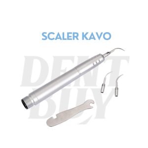 SCALER KAVO